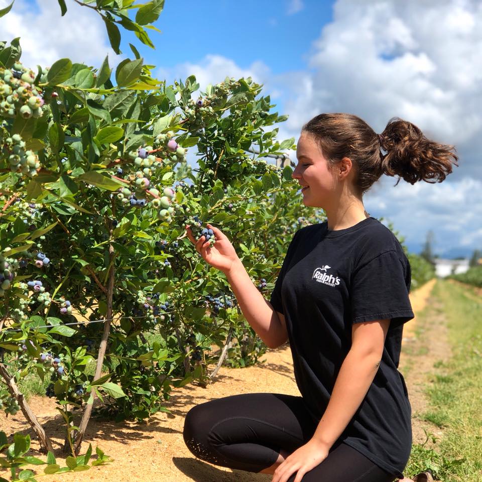 Ralphs Blueberry Farm | 22728 Fraser Hwy, Langley, BC V2Z 2T8, Canada | Phone: (604) 534-4324