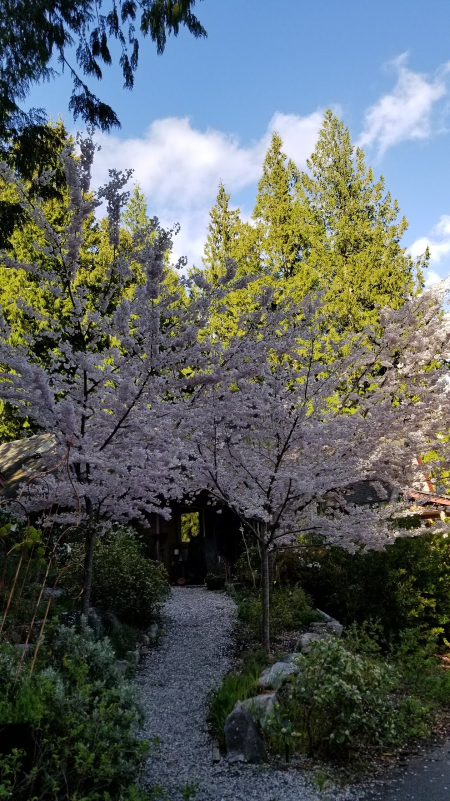 Roberts Creek Cohousing | Emery Rd, Roberts Creek, BC V0N 2W0, Canada | Phone: (604) 555-1234