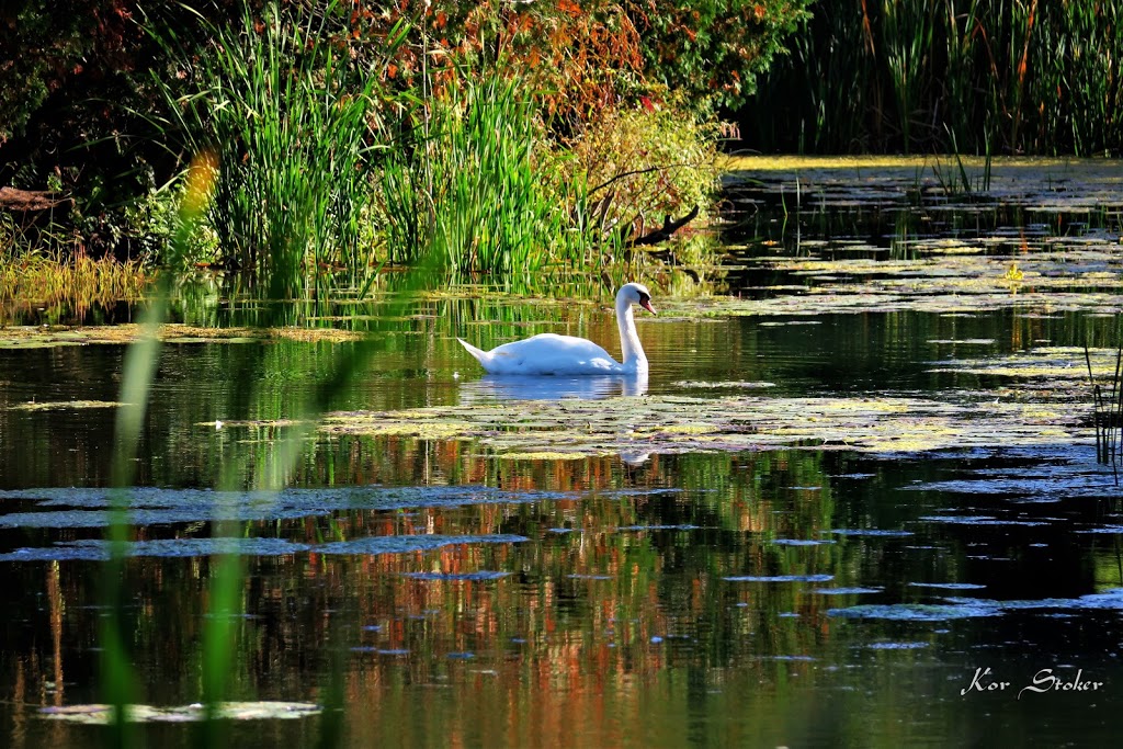 Nawautin Nature Sanctuary | 100 Keewatin Dr, Grafton, ON K0K 2G0, Canada | Phone: (613) 827-4263