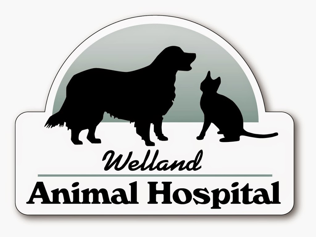 Welland Animal Hospital | 194 Thorold Rd, Welland, ON L3C 3V7, Canada | Phone: (905) 735-7410