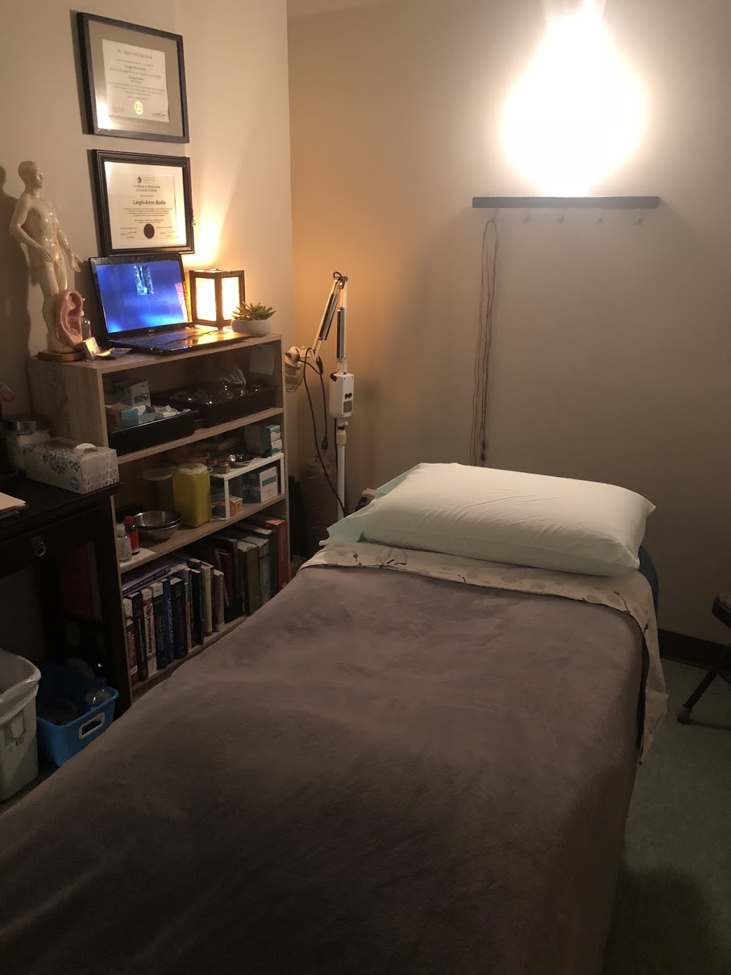 Spot On Acupuncture | 240 Manning Crossing NW, Edmonton, AB T5A 5A1, Canada | Phone: (780) 756-6505