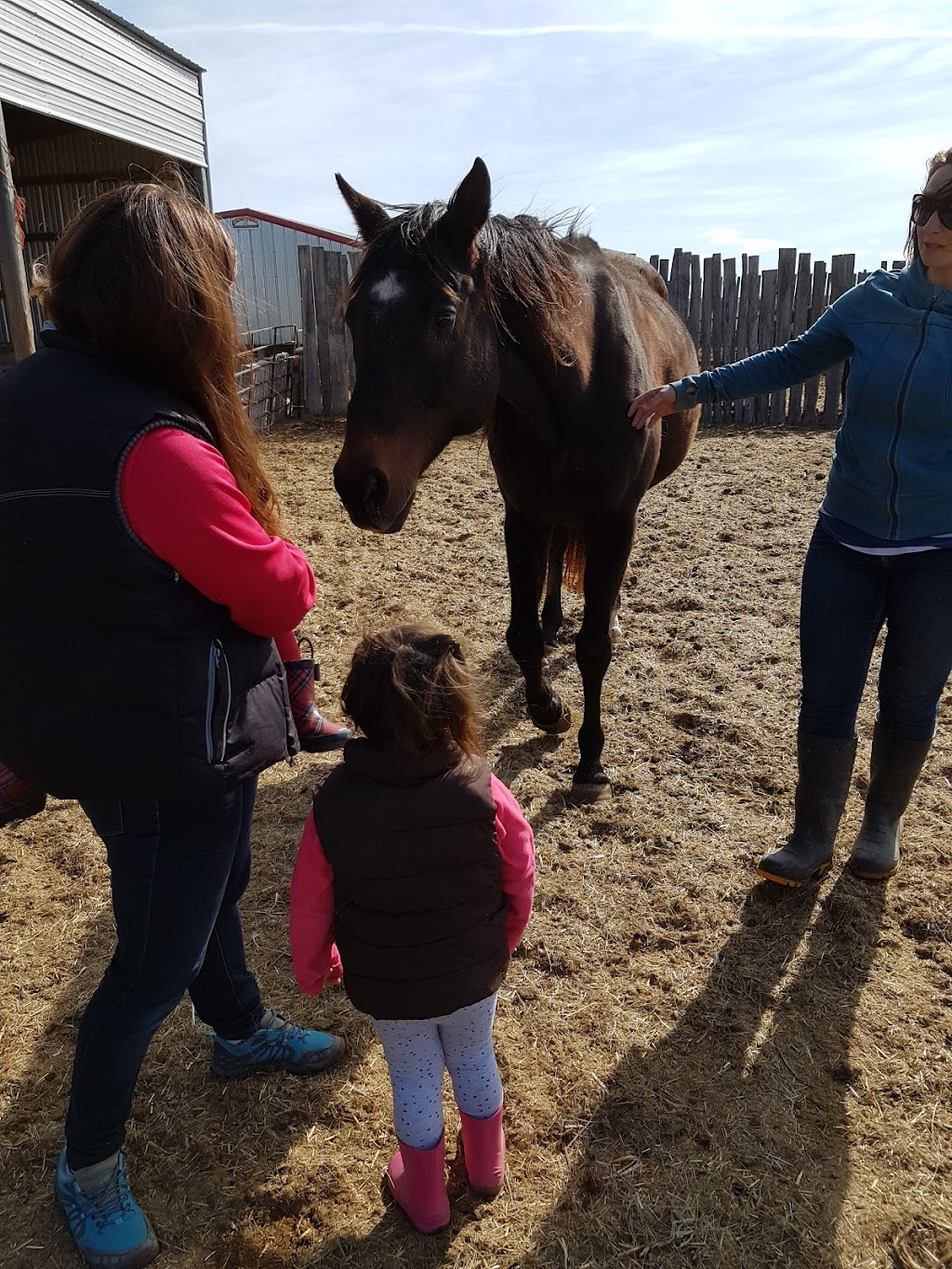 Blackbird Ranch | Rockwood, MB R0C 0H0, Canada | Phone: (204) 404-5609