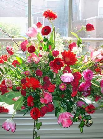 Birchmount Plants & Florist | 743 Birchmount Rd, Scarborough, ON M1K 1R5, Canada | Phone: (416) 755-1983