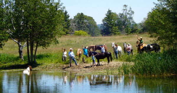 The Horsemans Word Ranch | 6900 Concession Rd 6, Uxbridge, ON L9P 1R1, Canada | Phone: (416) 722-0843