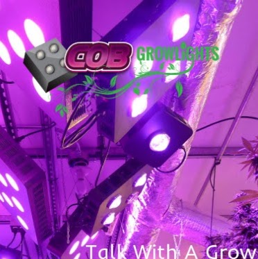 COB Grow Lights | 9079 Shaughnessy St #5, Vancouver, BC V6P 6R9, Canada | Phone: (877) 724-0291