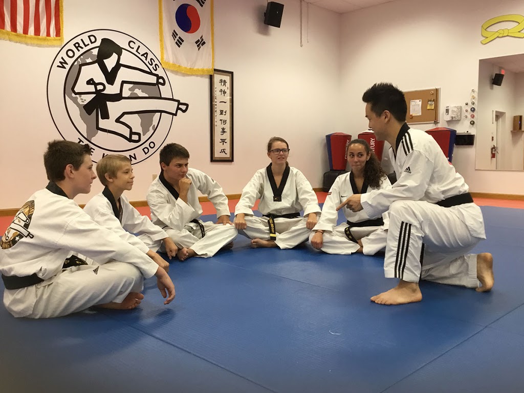 Master Chongs World Class Tae Kwon Do | 6050 South Park Ave #200, Hamburg, NY 14075, USA | Phone: (716) 646-6600