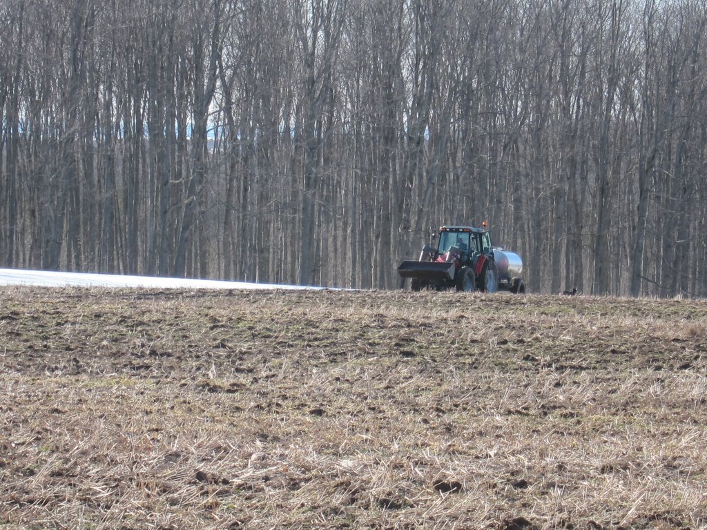 Windlee Farms Maple Syrup | 10 Baseline Rd N, Tiny, ON L4R 0E3, Canada | Phone: (705) 526-0769