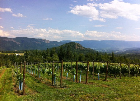 Larch Hills Winery | 110 Timms Rd, Salmon Arm, BC V1E 2P5, Canada | Phone: (250) 832-0155