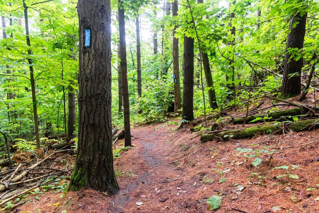 Bruce trail, hockley valley nature reserve. | 794110 3rd Line EHS, Orangeville, ON L9W 2Y8, Canada | Phone: (705) 435-2498