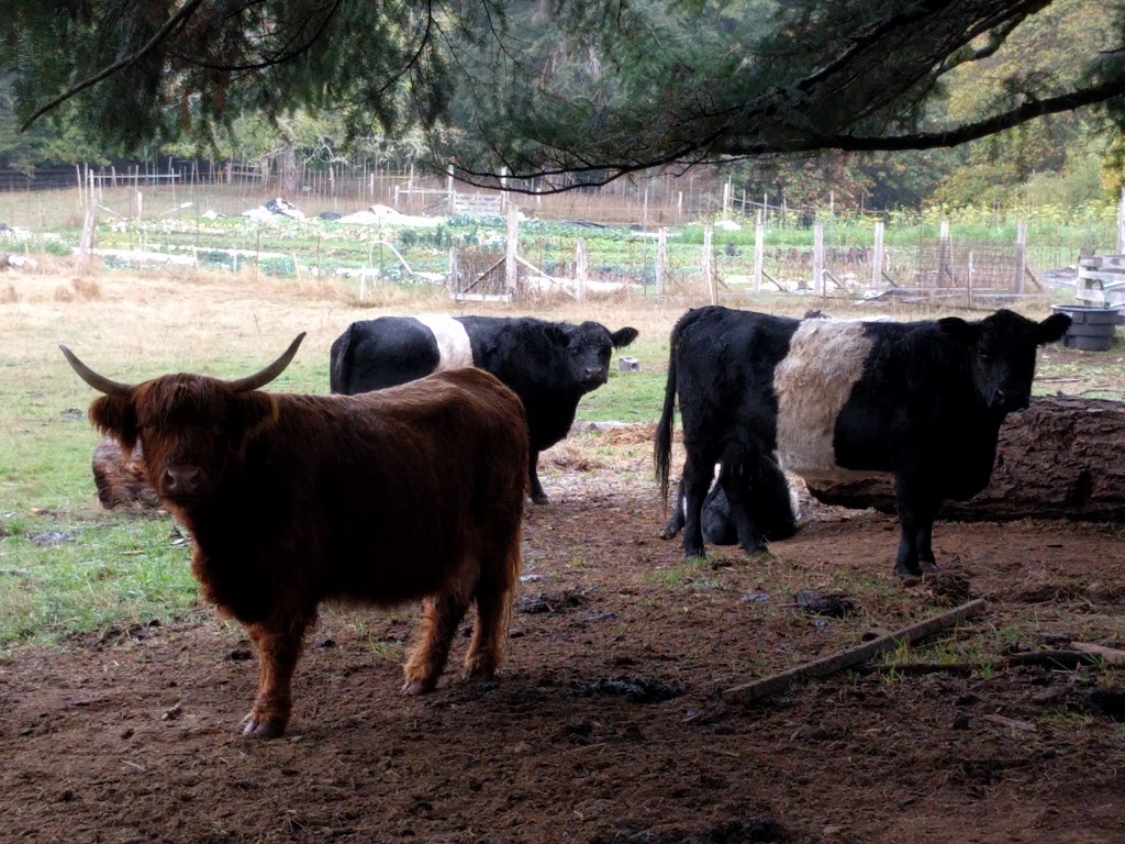 Ragley Farm | 5717 Sooke Rd, Sooke, BC V9Z 0C4, Canada | Phone: (250) 642-7349