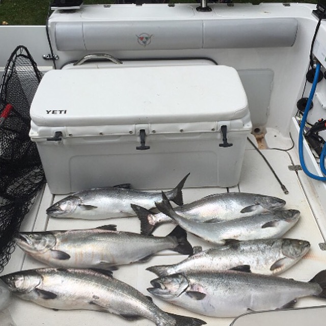 Grand Bend Fishing Charters Lake Huron | 10261 Pinetree Dr, Grand Bend, ON N0M 1T0, Canada | Phone: (519) 852-3410