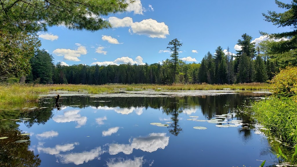 High Lonesome Nature Reserve | 867 Carbine Rd, Pakenham, ON K0A 2X0, Canada | Phone: (613) 253-2722