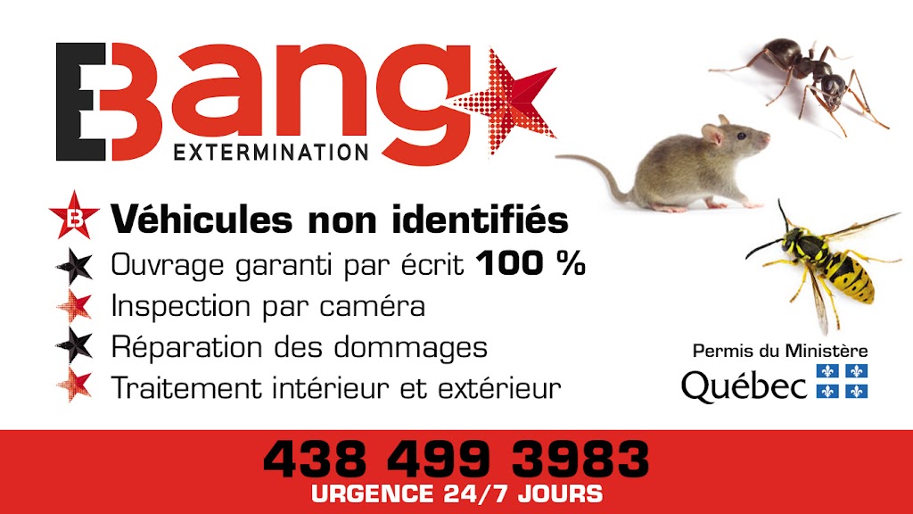 Bang Extermination | Exterminateur Rive-Sud | Urgence 24h | 142 Rue Jacquelin Beaulieu, Sainte-Julie, QC J3E 3R1, Canada | Phone: (438) 499-3983