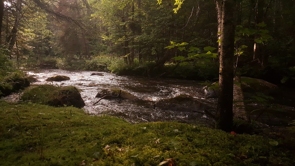 La Petite Douceur | 38 Côte de lEau Vive, Lac-Supérieur, QC J0T 1J0, Canada | Phone: (819) 688-3314