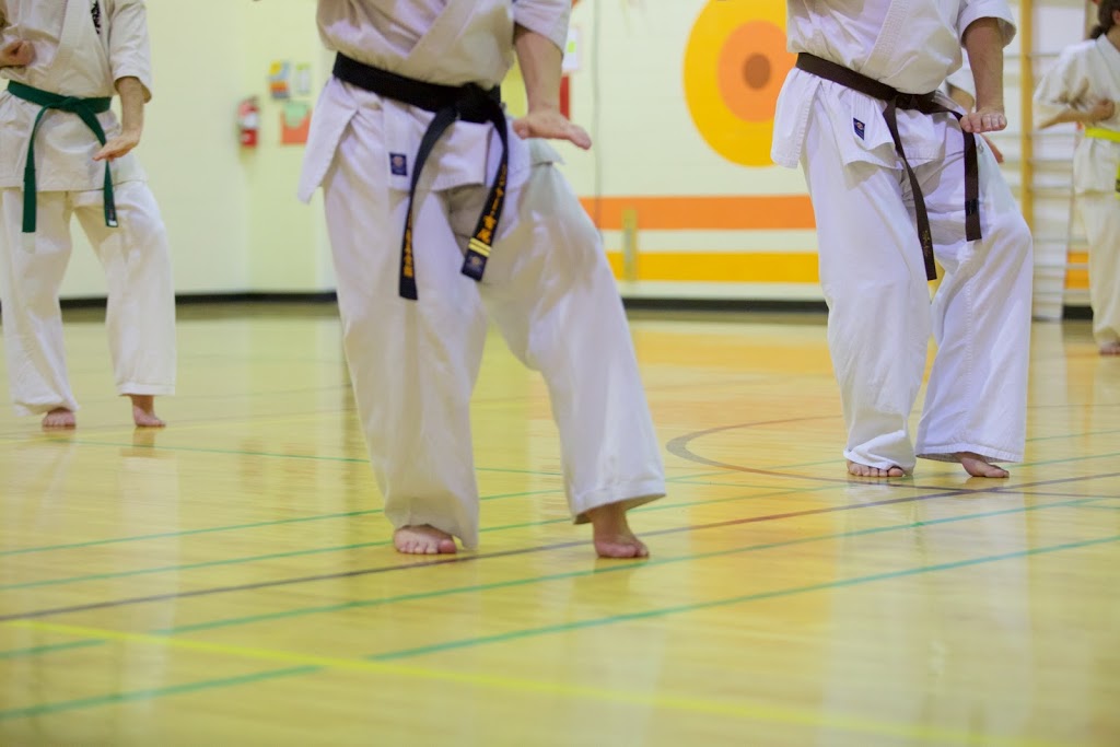 Calgary Karate Club - Kyokushinkai | 27 Arbour Crest Dr NW, Calgary, AB T3G 4L3, Canada | Phone: (403) 605-5215