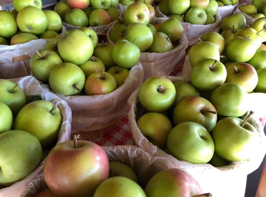 Creasys Apple Dabble Family Farm | 3091 County Rd 8, Prince Edward, ON K0K 2T0, Canada | Phone: (613) 476-5142