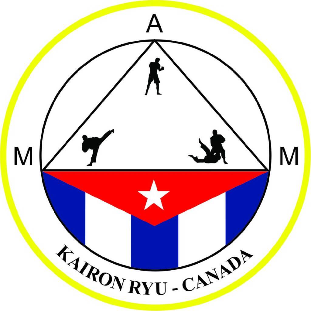 Arroyo Martial Arts Academy | 20 Albert St, Carleton Place, ON K7C 1P4, Canada | Phone: (613) 853-6266