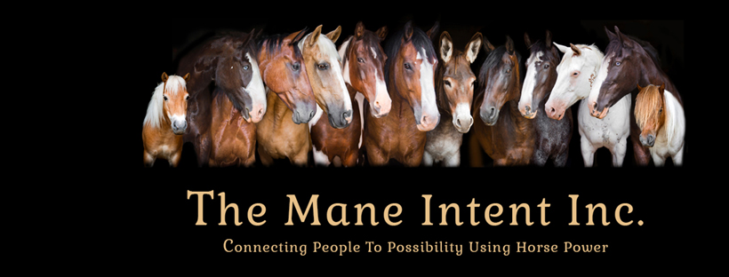 The Mane Intent Inc. | 2410 Cameron Line, Indian River, ON K0L 2B0, Canada | Phone: (416) 347-3235