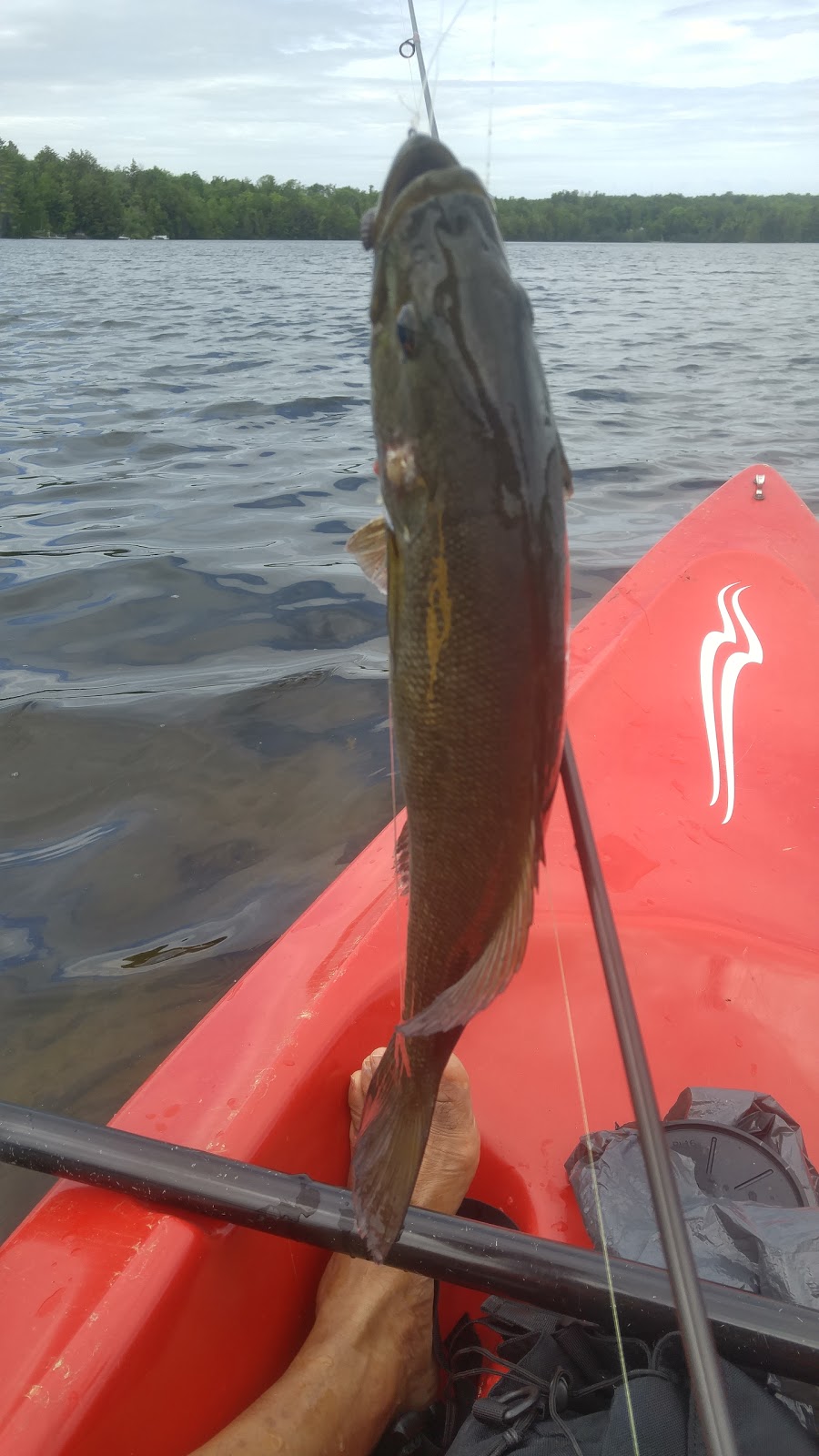 Lac Lovering | Lac Lovering, Magog, QC J1X 0M9, Canada