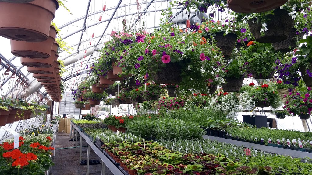 Homestead Garden Growers | 2563 Old Homestead Rd, Keswick, ON L4P 3E9, Canada | Phone: (905) 989-1956