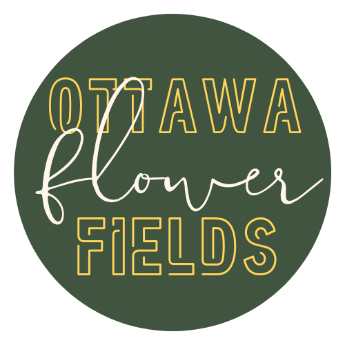 Ottawa Flower Fields | 6830 Fourth Line Rd, North Gower, ON K0A 2T0, Canada | Phone: (613) 880-7458