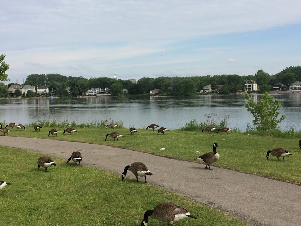 Parc de la Merci | Ahuntsic-Cartierville, Montreal, QC H3M, Canada