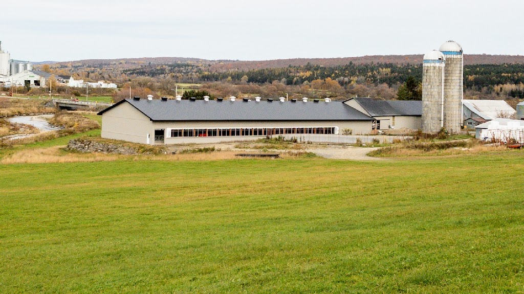 Ferme Lunic (2004) Inc | 503 Rang de la Montagne, Saint-Éphrem-de-Beauce, QC G0M 1R0, Canada | Phone: (581) 372-4840