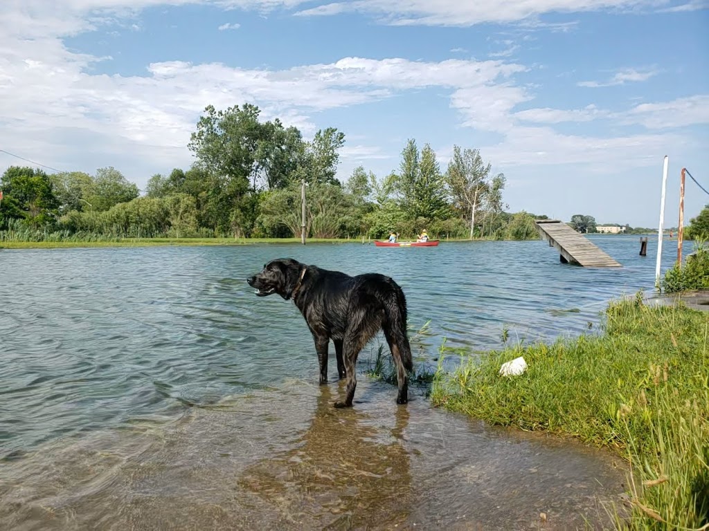 Lakeside Yacht Club | 65 Lakeshore Rd W, Port Colborne, ON L3K 2S2, Canada | Phone: (905) 835-8775