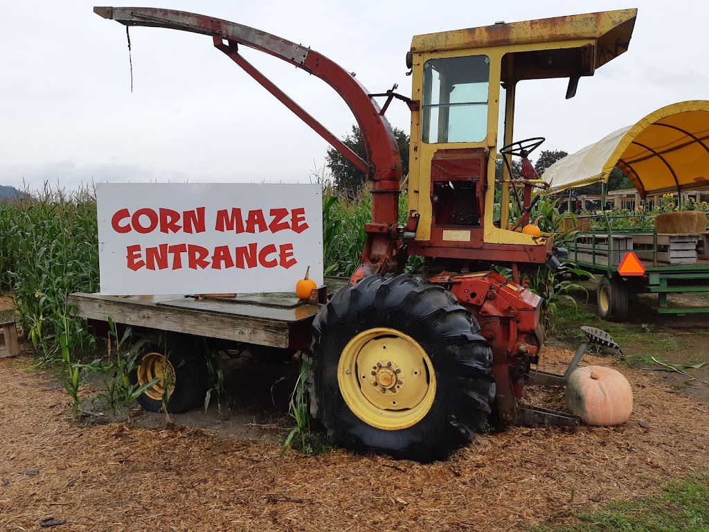 Chilliwack Corn Maze & Pumpkin Farm | 41905 Yale Rd W, Chilliwack, BC V2R 4J4, Canada | Phone: (604) 845-5284