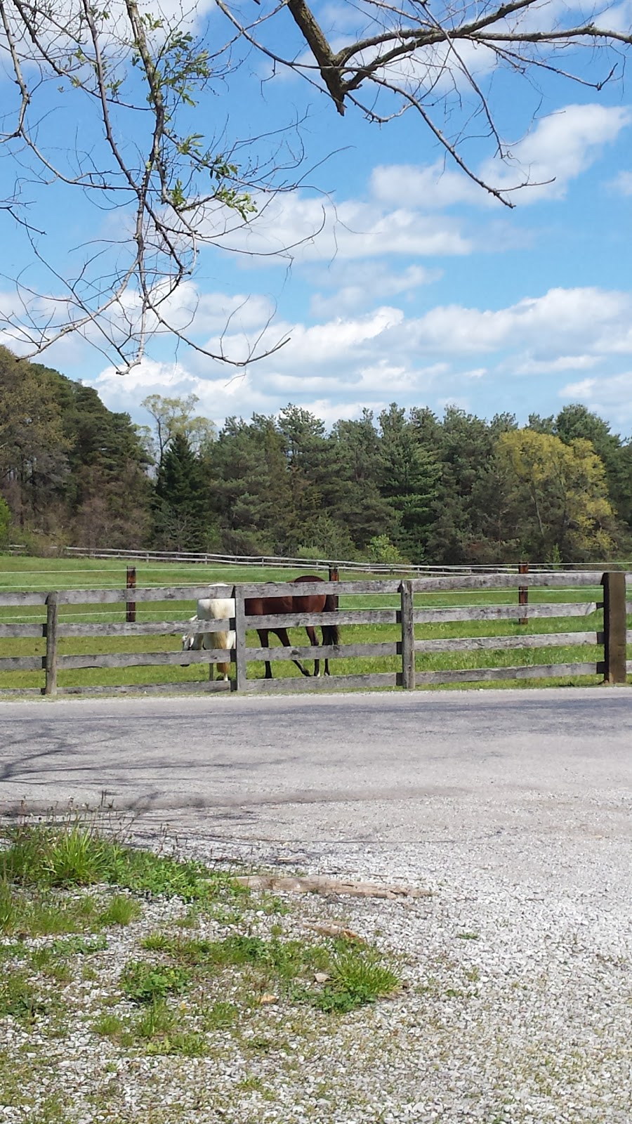 Hay Creek Conservation Area | 241 Port Ryerse Rd, Simcoe, ON N3Y 4K2, Canada