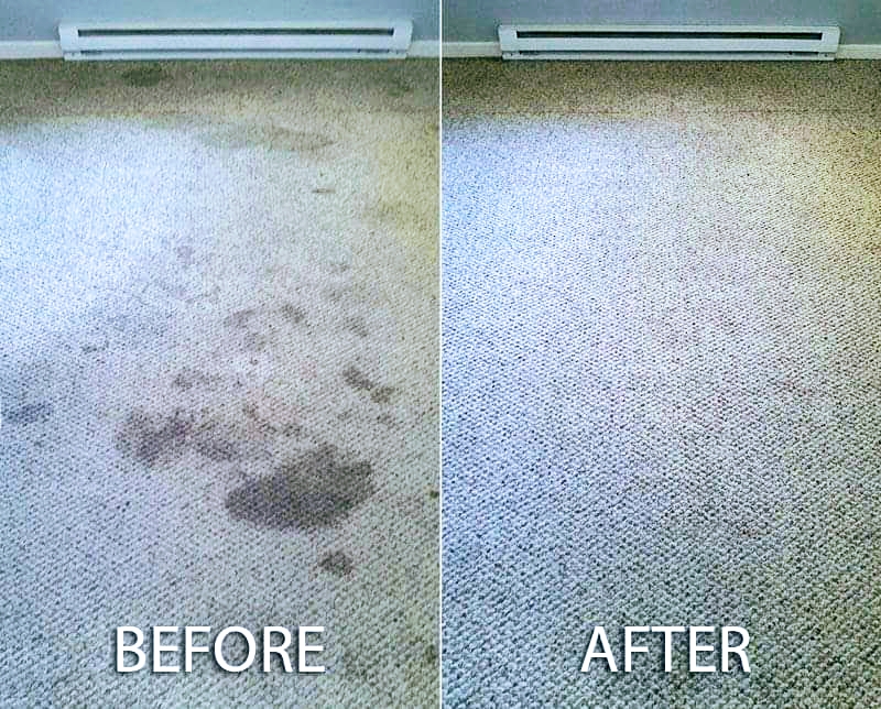 Elegance Carpet Cleaning | 51 Bayshore Dr, Nepean, ON K2B 6M7, Canada | Phone: (613) 854-0666