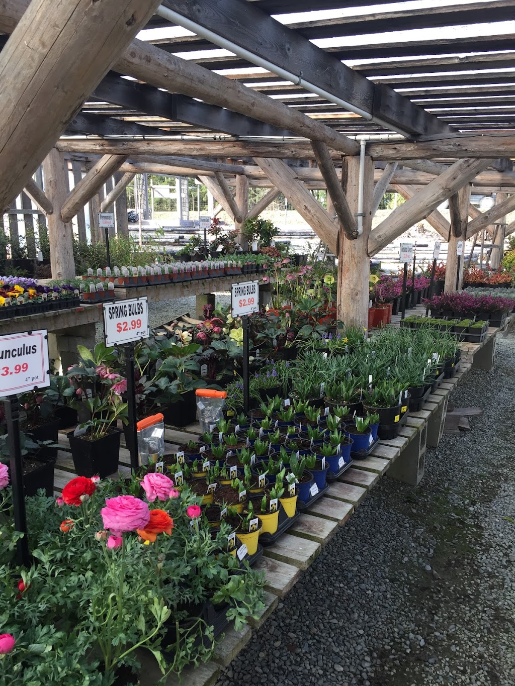 Arrowsmith Greenhouses | 2880 Alberni Hwy, Qualicum Beach, BC V9K 1Y3, Canada | Phone: (250) 752-1592