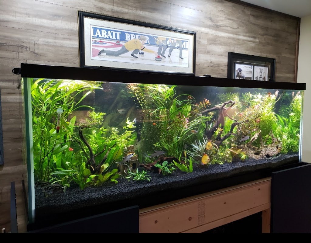 Coral Reefs & Aquariums | 20 Davenrich Ct, Brampton, ON L6Z 1N6, Canada | Phone: (905) 794-2224