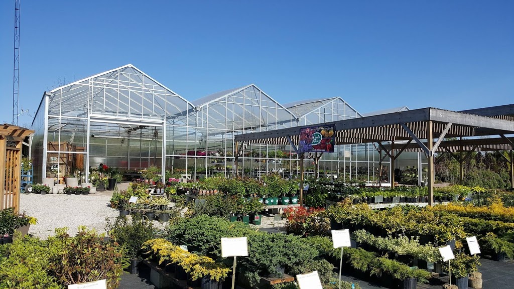 Peanut Centre Nursery | 702 Mersea Rd 6, Leamington, ON N8H 3V8, Canada | Phone: (519) 326-7450