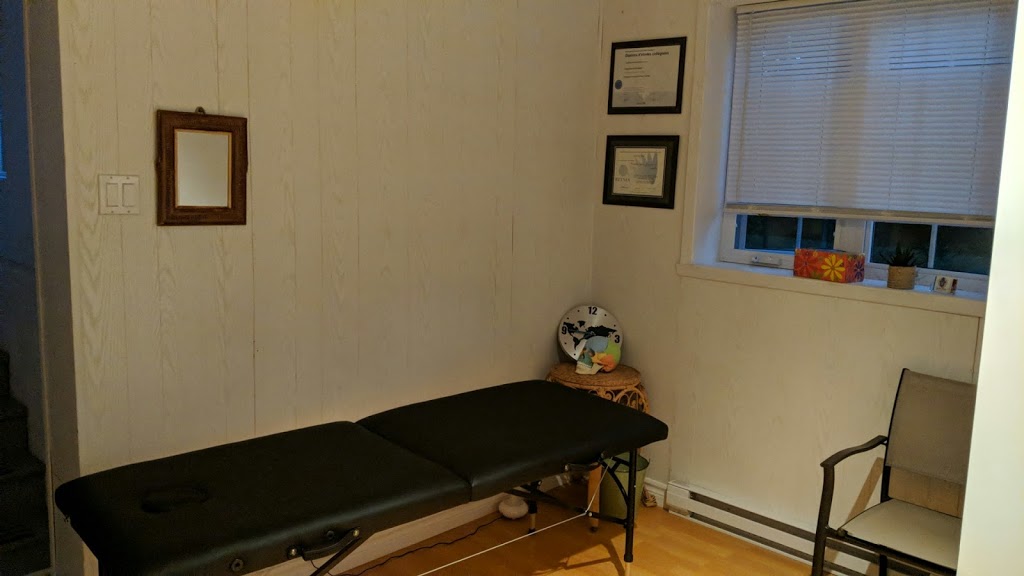 Fredericka Gregoire Osteopathie | 22 Rue des Prés, Baie-Saint-Paul, QC G3Z 2A2, Canada | Phone: (418) 520-1190