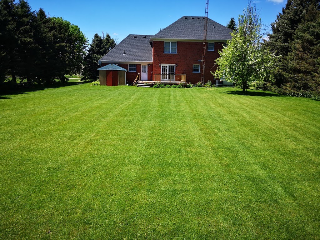 Brantford Lawn Care | 7 Ventnor Ct, Brantford, ON N3R 6L8, Canada | Phone: (519) 774-0765