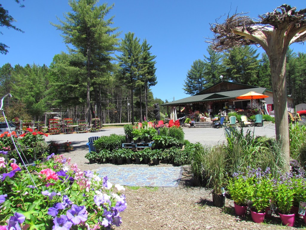 Lake of Bays Garden Centre | 2876 Hwy. #60, Dwight, ON P0A 1H0, Canada | Phone: (705) 635-1696