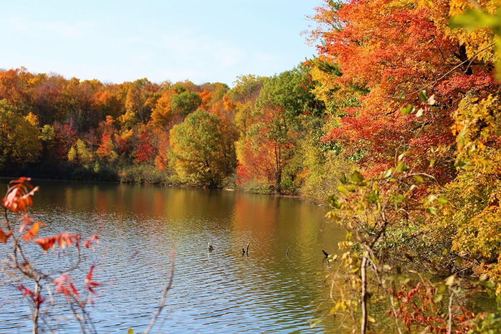 Mont-Saint-Bruno National Park | 330 Rang des Vingt Cinq E, Saint-Bruno-de-Montarville, QC J3V 4P6, Canada | Phone: (450) 653-7544