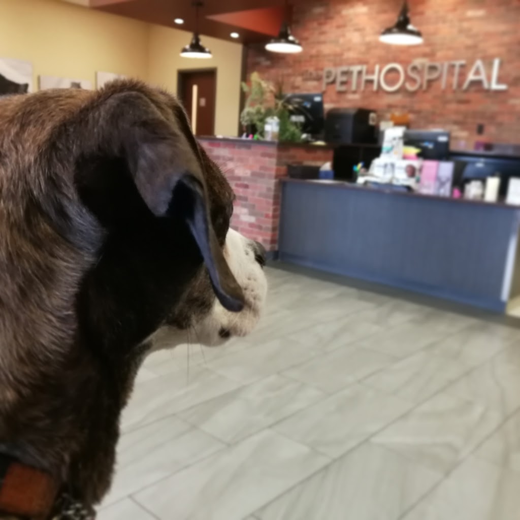 The Pet Hospital | 5302 50 St, Leduc, AB T9E 6Z6, Canada | Phone: (780) 986-3297