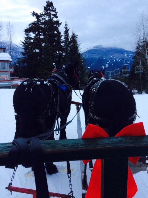 Blackcomb Sleigh Rides | 4890 Glacier Dr, Whistler, BC V0N 1B4, Canada | Phone: (604) 932-7631