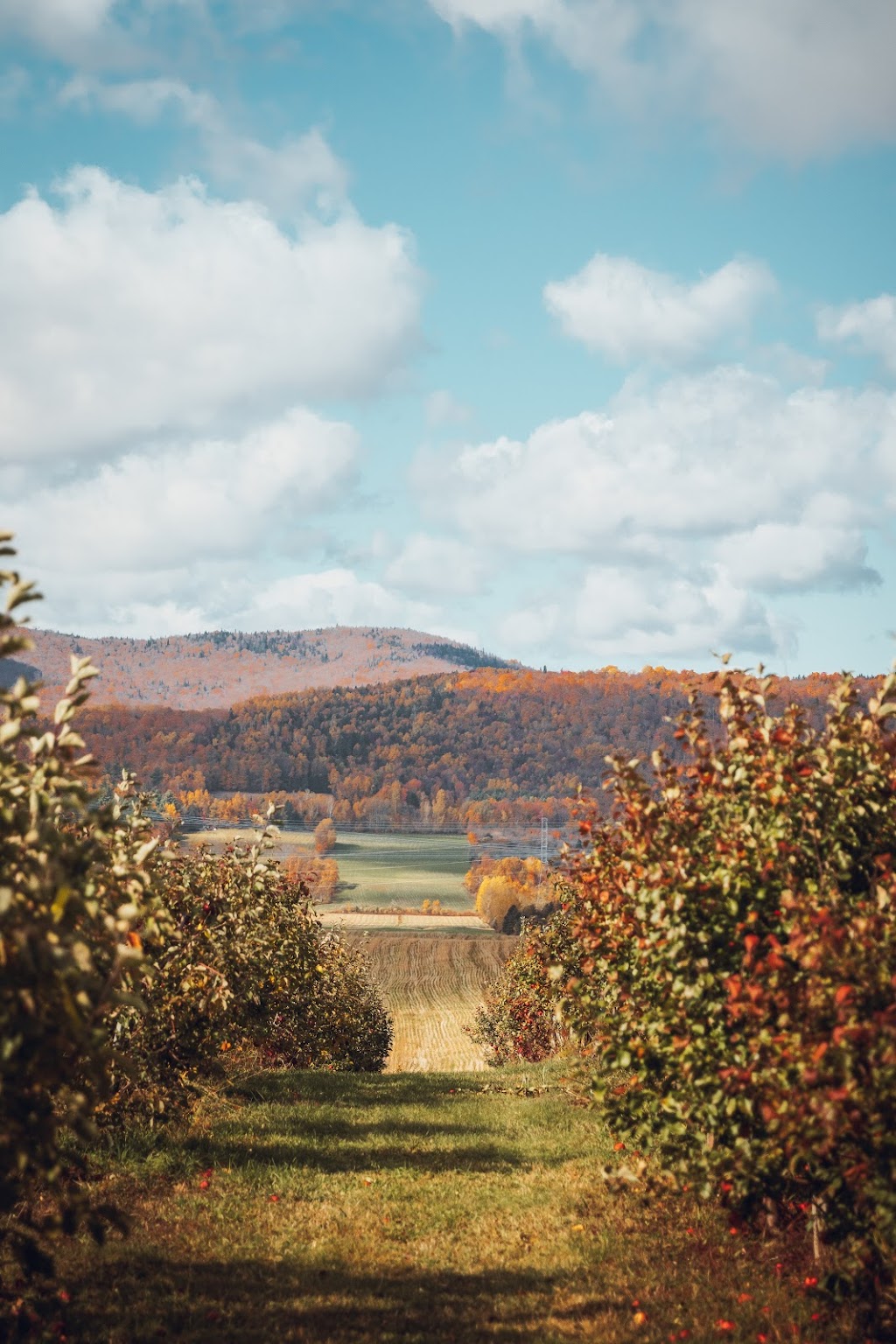 Verger Sainte-Anne | 315 Côte Sainte-Anne, Sainte-Anne-de-Beaupré, QC G0A 3C0, Canada | Phone: (418) 570-2808