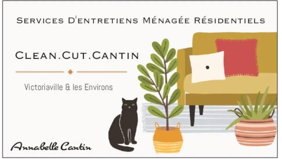 Service Dentretien Ménagé Résidentiel C.C.C | Rue Romulus, Victoriaville, QC G6P 3W3, Canada | Phone: (873) 665-2119