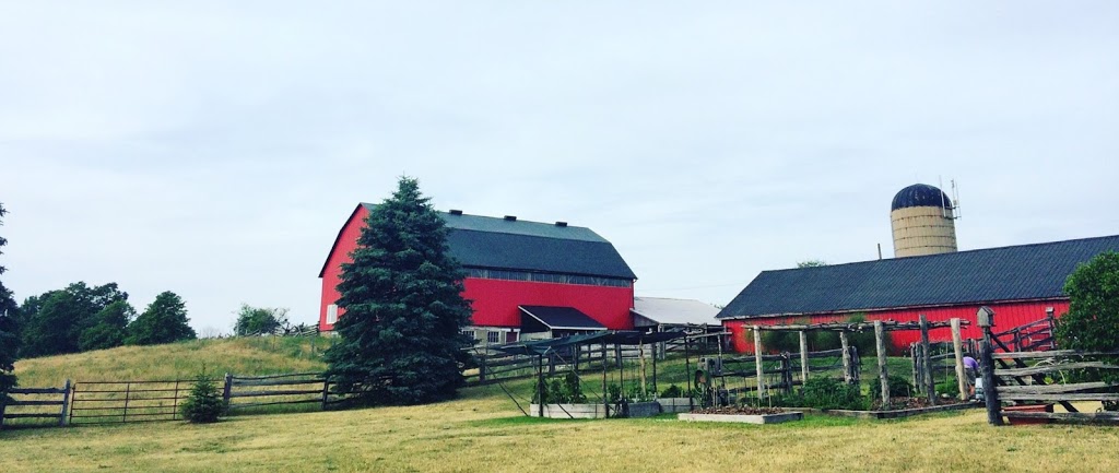 Ravens Paw Farm | 7162 Ravenshoe Rd, Pefferlaw, ON L0E 1N0, Canada | Phone: (905) 473-2381