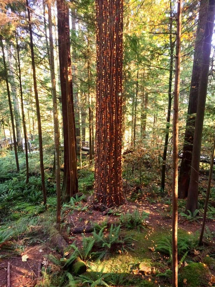 Bridge Park Walk | North Vancouver, BC V7R 4J1, Canada