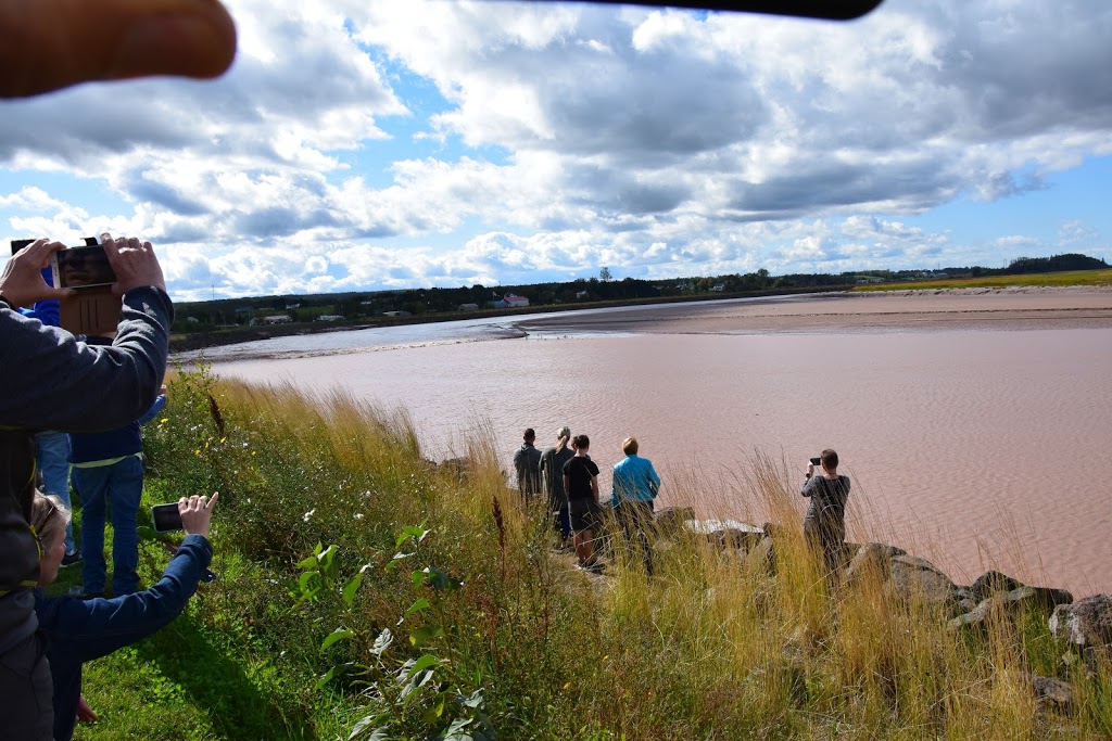 Fundy Discovery Site | 103 Tidal Bore Rd, Lower Truro, NS B6L 1T9, Canada | Phone: (902) 897-6255