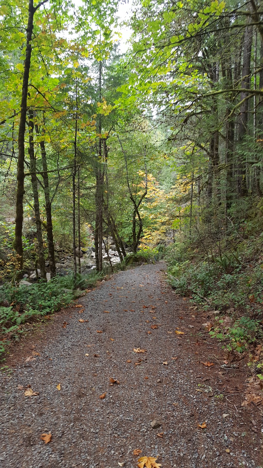 Holland Creek Trail | Heart Lake Trail, Ladysmith, BC V9G 1V4, Canada