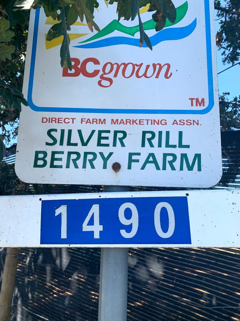 Silver Rill Berry Farm | 1490 Hovey Rd, Saanichton, BC V8M 1S7, Canada | Phone: (250) 652-5227