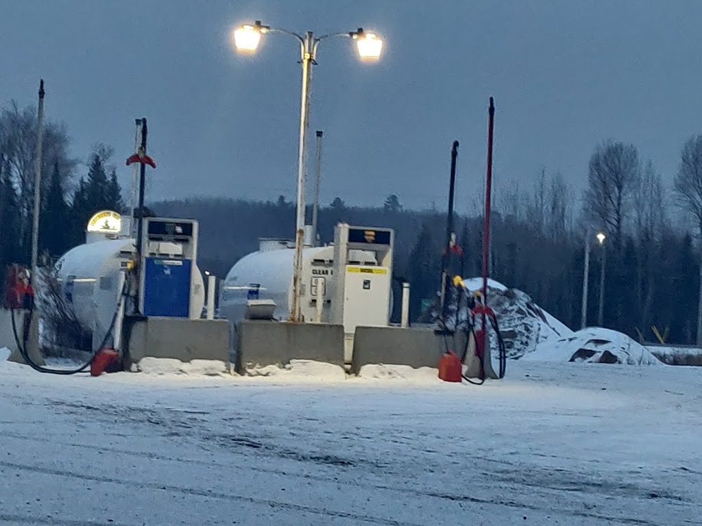 Lake Helen Community Gas and Variety | 403 Trans-Canada Hwy, Nipigon, ON P0T, Canada | Phone: (807) 887-1681