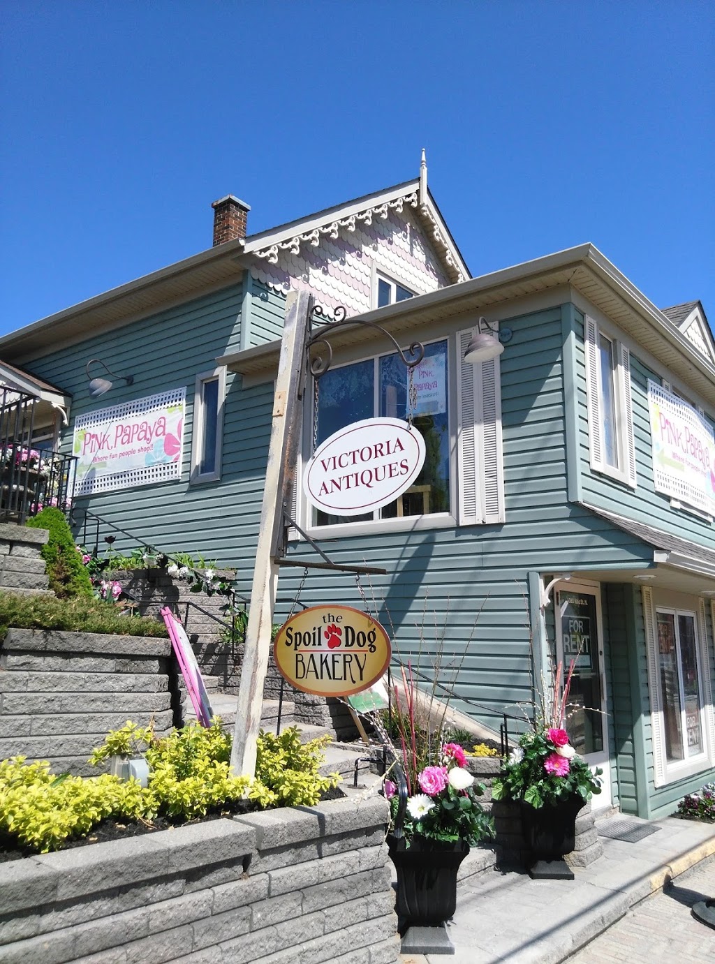 Pink Papaya | 1376 King St N, St. Jacobs, ON N0B 2N0, Canada | Phone: (519) 206-2600