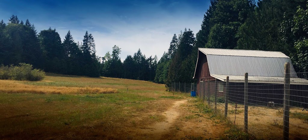 Glenora Creek Kennels | 3265 Doupe Rd, Duncan, BC V9L 6P1, Canada | Phone: (250) 748-4976